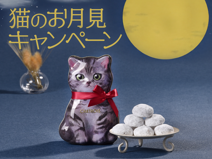猫のお月見キャンペーン開催中！の写真