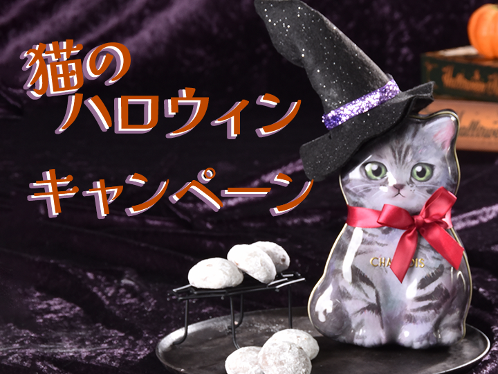 猫のハロウィンキャンペーン開催中！の写真